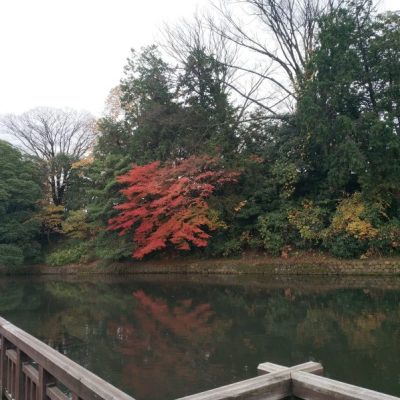 金沢城公園散策しました！