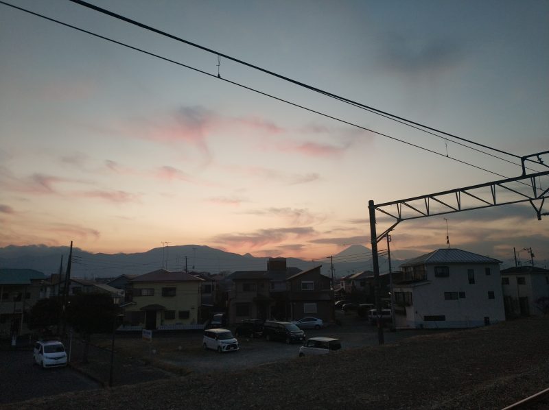 曽我梅林に行きました②