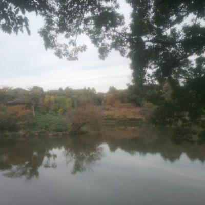 三ッ池公園に行きました