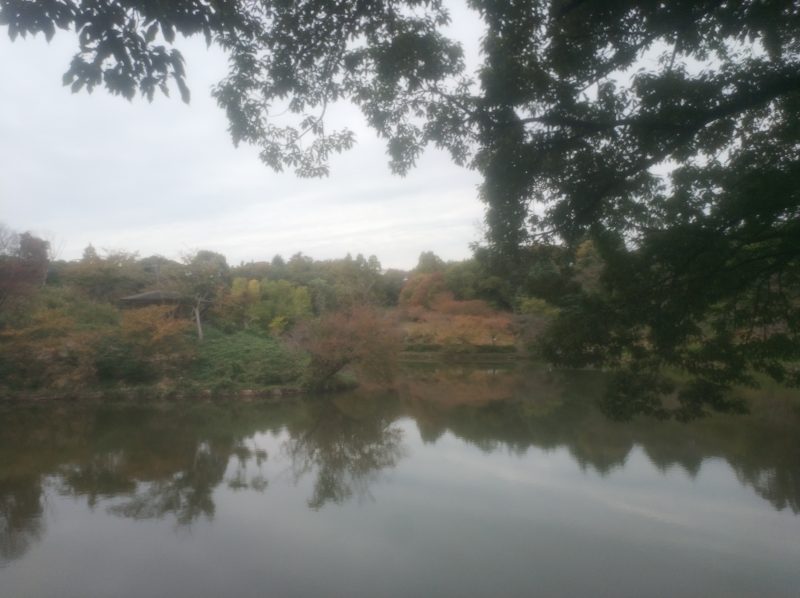 三ッ池公園に行きました