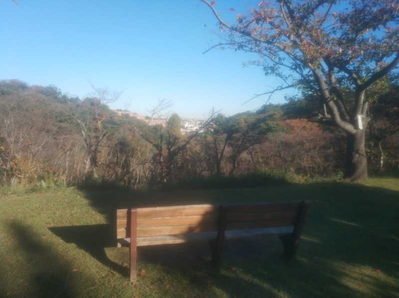 久良岐公園に行きました