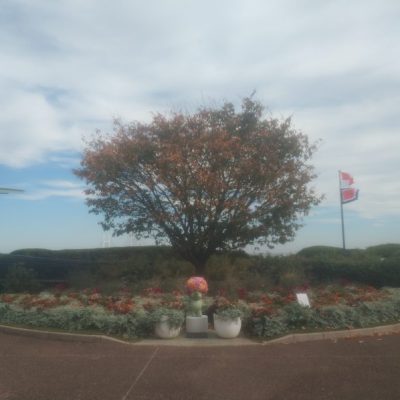 根岸森林公園～本牧山頂公園～港の見える丘公園