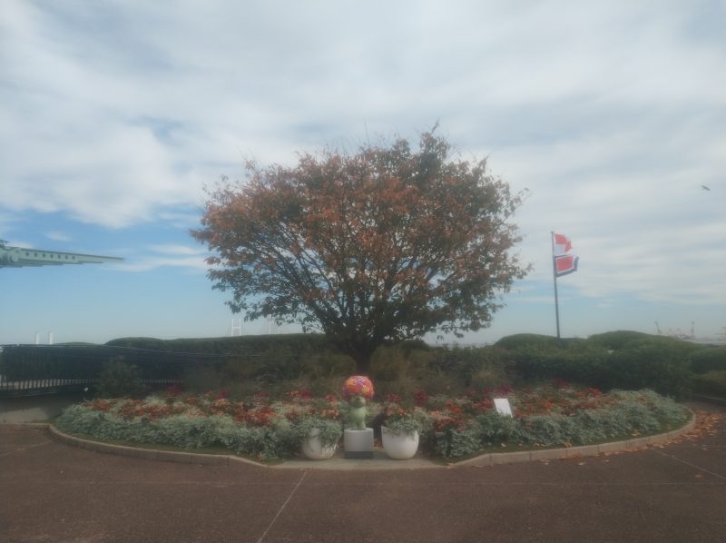 根岸森林公園～本牧山頂公園～港の見える丘公園