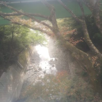 丹沢湖巡り1~新松田から山北つぶらの公園迄