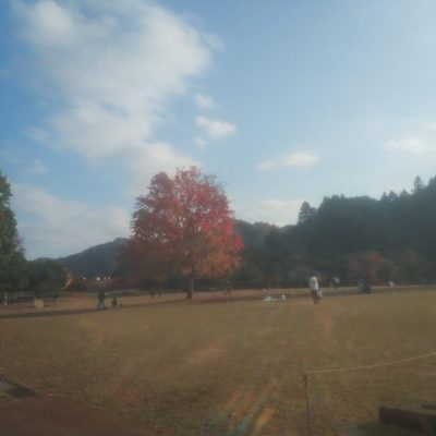 宮ケ瀬湖2025～宮ケ瀬湖畔園地