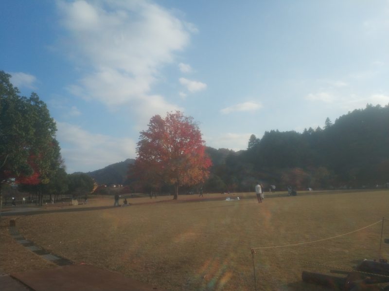 宮ケ瀬湖2025～宮ケ瀬湖畔園地