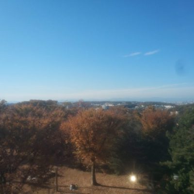 見せてもらおうか、川崎の生田緑地の紅葉とやらを(枡形山広場)