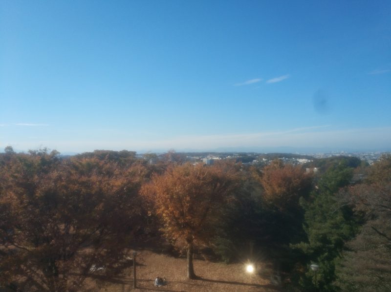 見せてもらおうか、川崎の生田緑地の紅葉とやらを(枡形山広場)