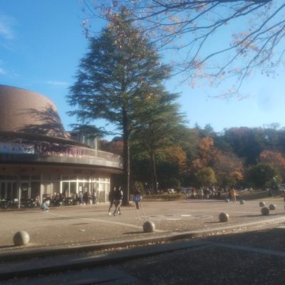 見せてもらおうか、川崎の生田緑地の紅葉とやらを(中央広場)