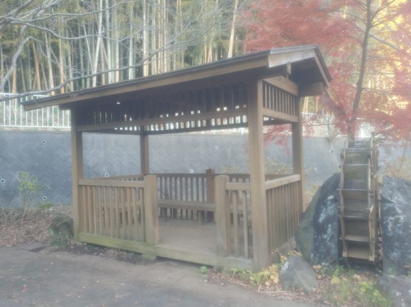 見せてもらおうか、川崎の生田緑地の紅葉とやらを(外側)