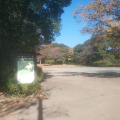 四季の森公園に行きました(広場まで)