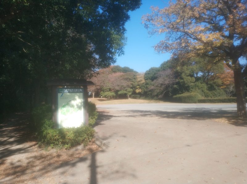 四季の森公園に行きました(広場まで)