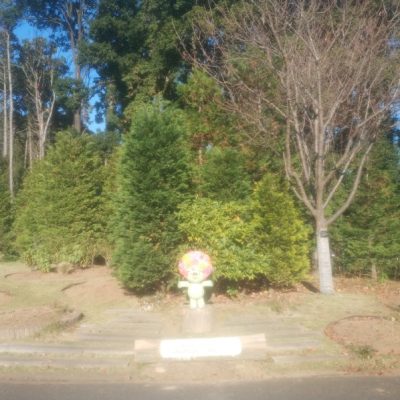 里山ガーデン(フェスタ期間外)に寄りました