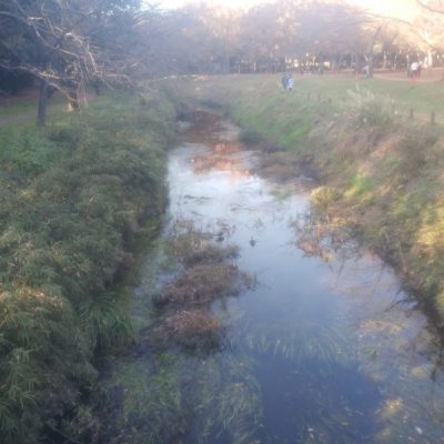 泉の森(ふれあいの森)に行きました