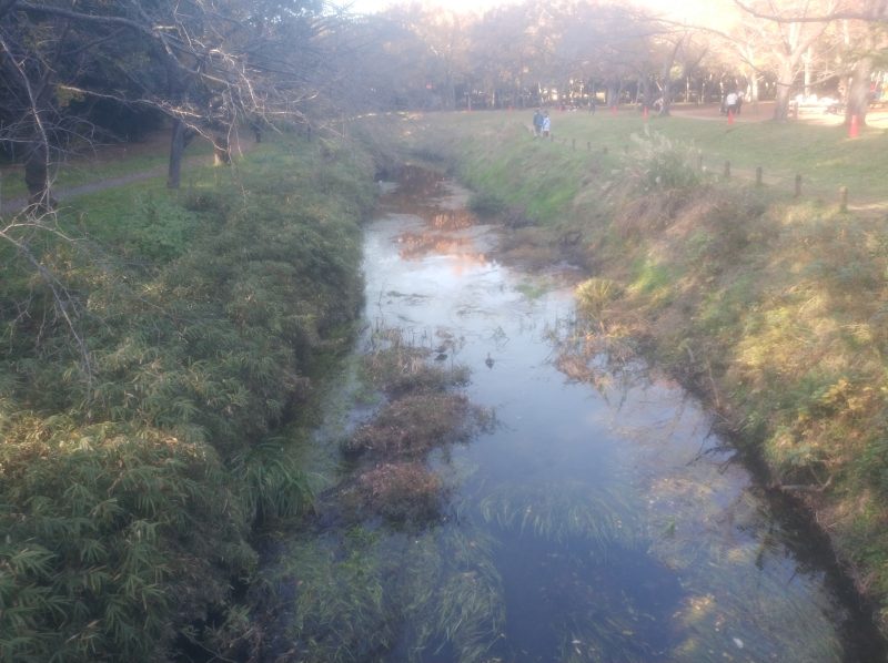 泉の森(ふれあいの森)に行きました