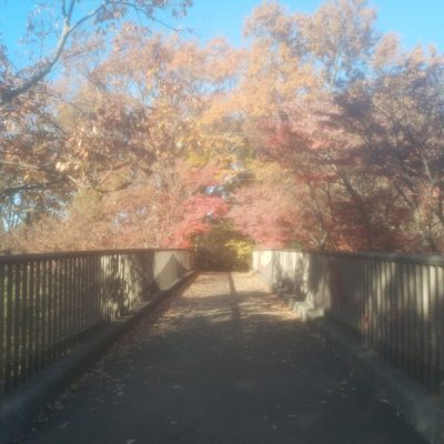 舞岡公園に行きました