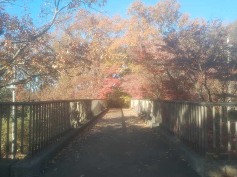 舞岡公園に行きました