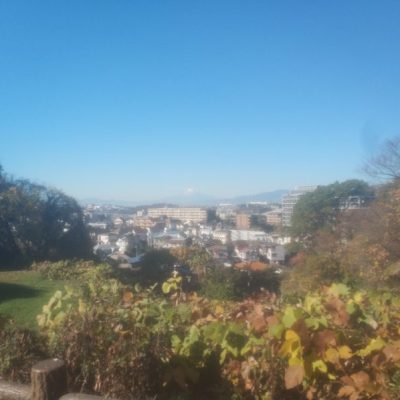 舞岡公園(ふるさとの森)に行きました