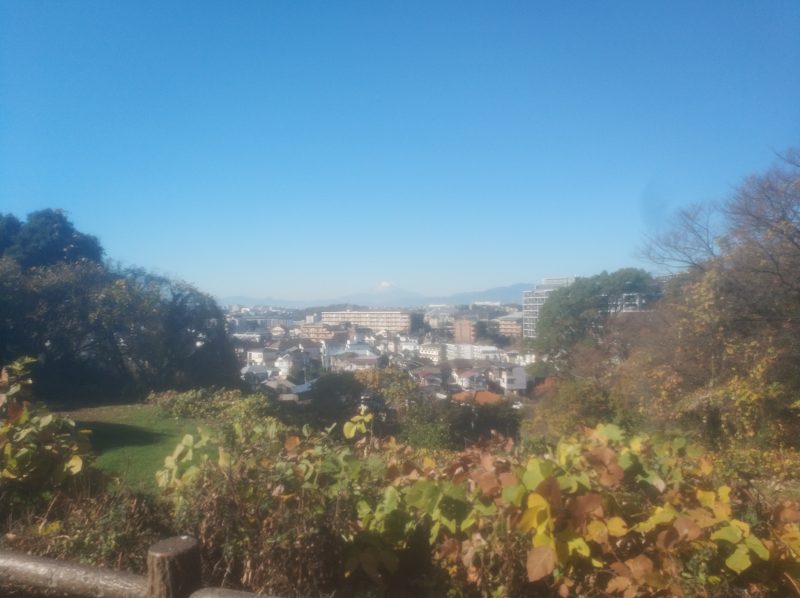 舞岡公園(ふるさとの森)に行きました
