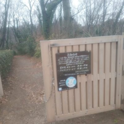 舞岡公園リベンジ(保護区)